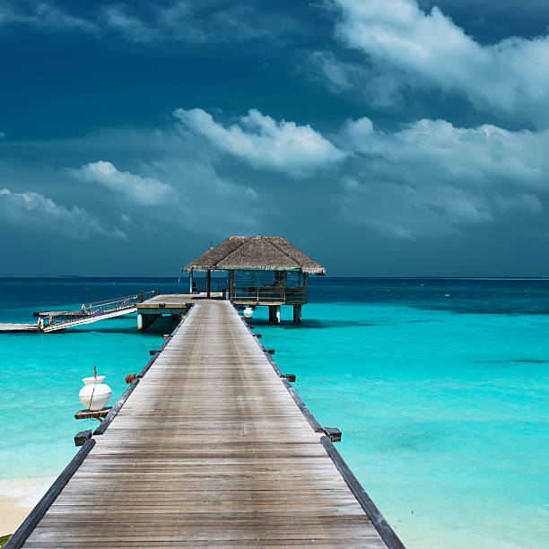 istock Beautiful beach with water bungalows 536141423
