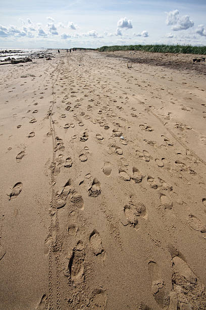 istock Spurn Point East Yorkshire Coast UK 536169421