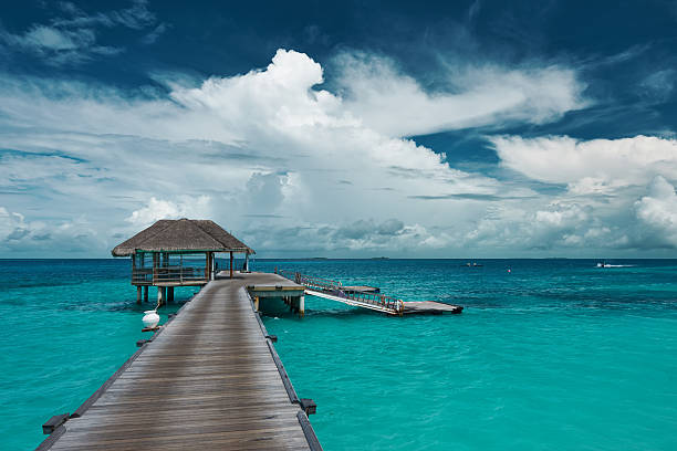 istock Beautiful beach with water bungalows 536170111