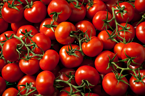 Different sorts of tomatoes as background, top view