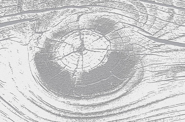 Black and white close-up of a wood knot...  with copy space.