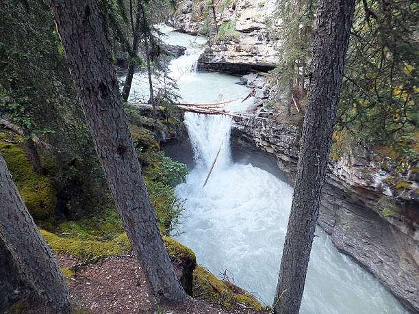 istock Beautiful whitewater canyon (Banff) 536174421