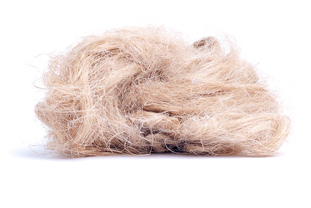 istock sanitary linen isolated on white background 536189377