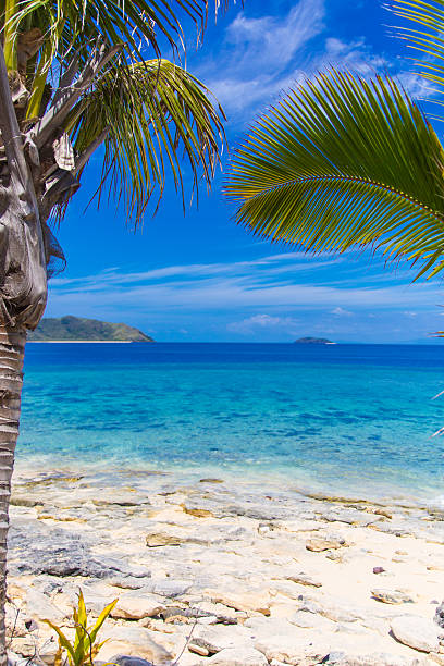 istock Tropical beach in Fiji. 536189853