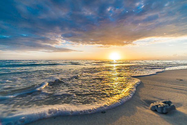 istock Tropical sunset in Fiji. 536189877