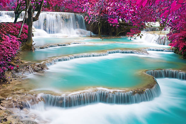 turkusowe wody ulicy kuang si waterfall - beauty in nature clean cool stream zdjęcia i obrazy z banku zdjęć