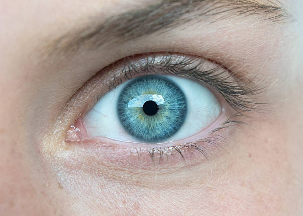 eye macro - ojos azules fotografías e imágenes de stock