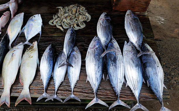 istock Fresh fish at the market 536192297