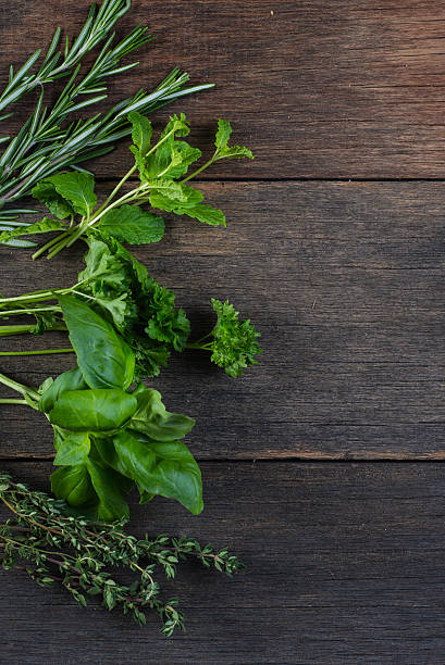 istock Freshly cliped herbs on wooden background 536196733