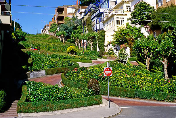 istock Lombard Street, San Francisco 536196863