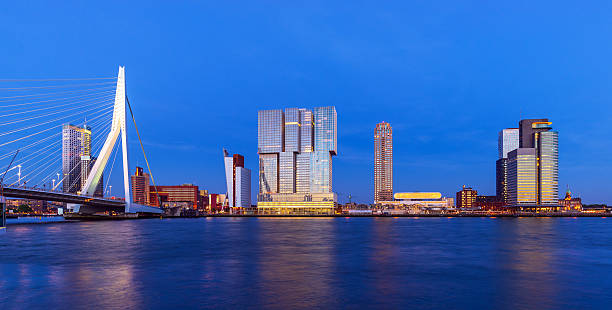 Rotterdam Skyline Modern Rotterdam Skyline at Twilight, The Netherlands desiderius erasmus stock pictures, royalty-free photos & images