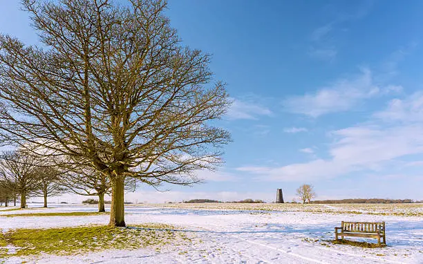 Beverley, Yorkshire, UK. Beverley Westwood following a snow storm with the Black Monument in the backgrouind in Beverley, Yorkshire, UK.