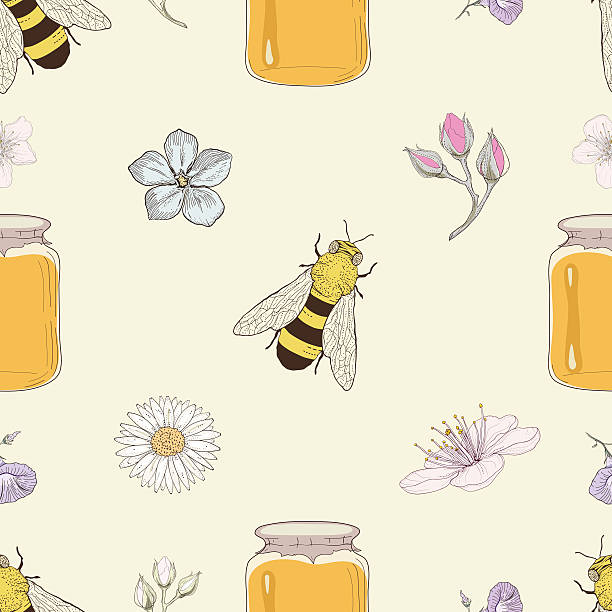 miód pszczoły i kwiaty bez szwu wzór - bee backgrounds chamomile plant fragility stock illustrations