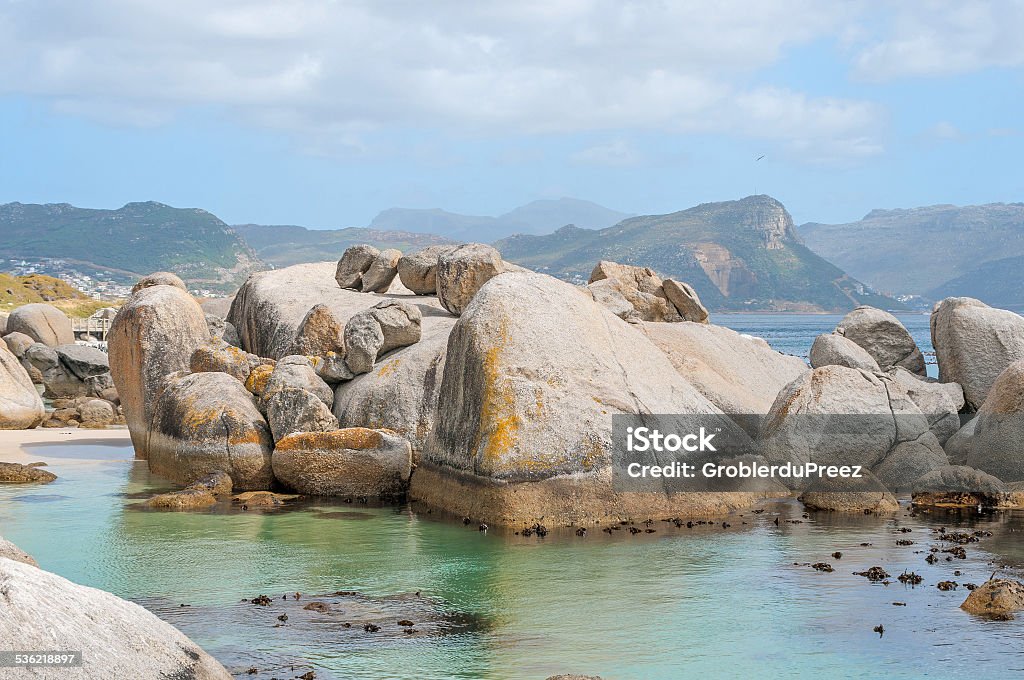 Boulders section of the Table Mountain National Park African penguin (Spheniscus demersus) sanctuary at the Boulders section of the Table Mountain National Park at Simonstown in Cape Town, South Africa 2015 Stock Photo