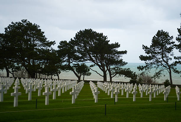istock American Military Cemetery, Normandy 536219283