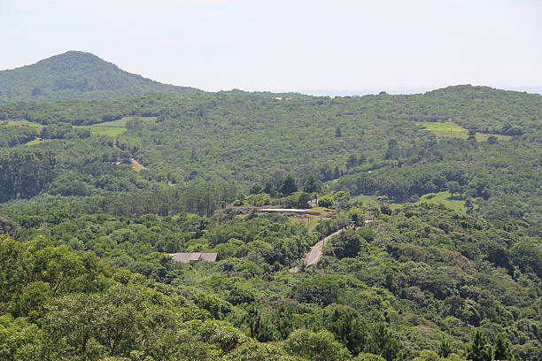 istock Hill of Bor (Morro da Borússia). 536221163