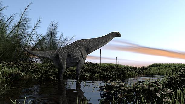 titanosaurus walking in swamp stock photo