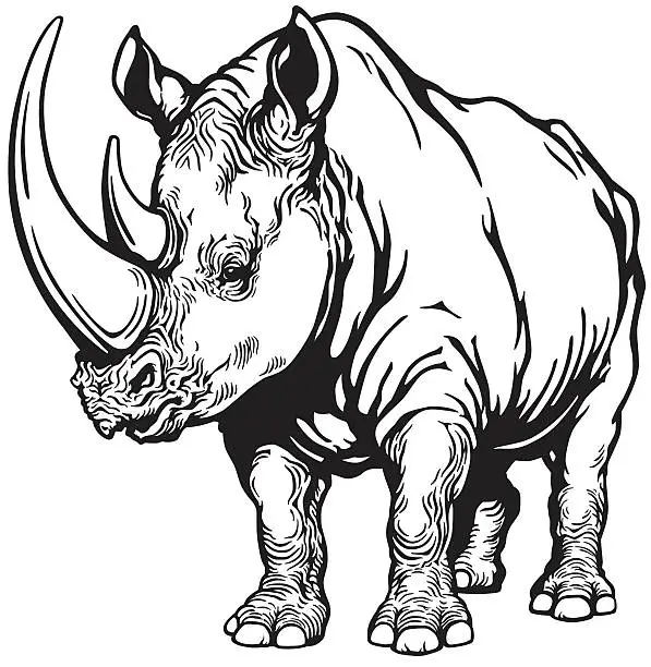 Vector illustration of rhinoceros black and white