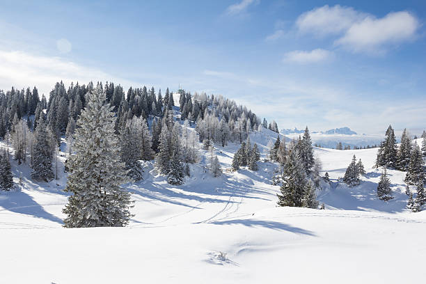 Winter Landscape At Mt. Dobratsch stock photo