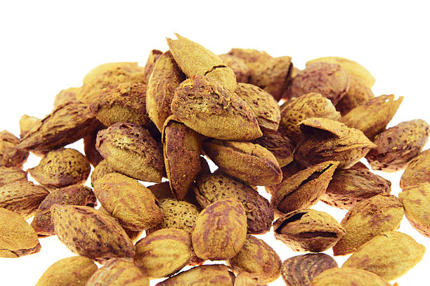 istock Almond in shell roast sugar isolated on white background 536245037