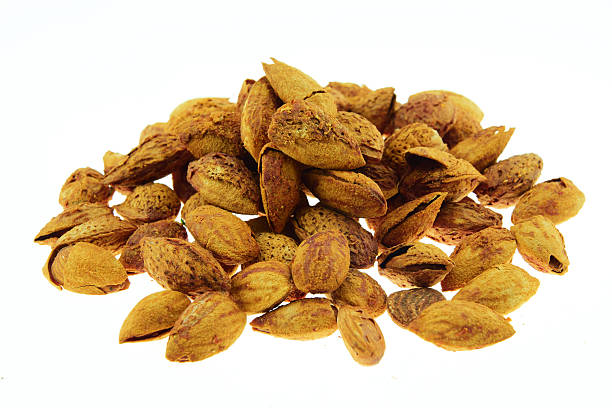 istock Almond in shell roast sugar isolated on white background 536247409