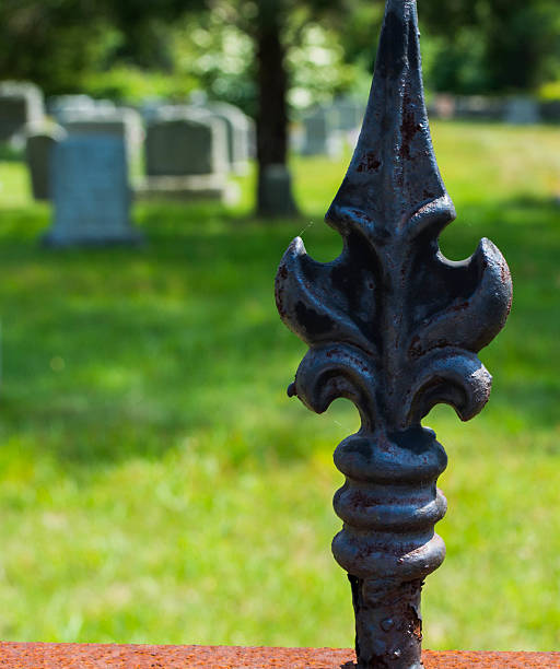 istock Don't Fence Me In 536247547