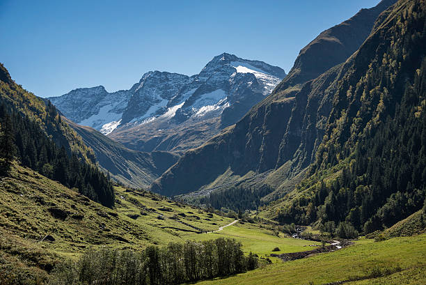 istock View into the valley end from the Hollersbachtal 536248035