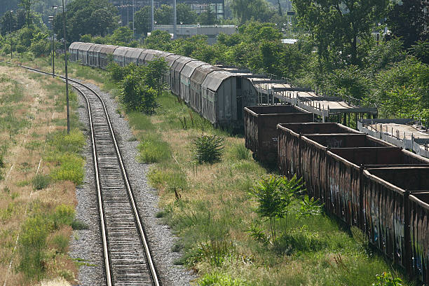 istock Cargo train platform railway tracks in a rural scene 536248245