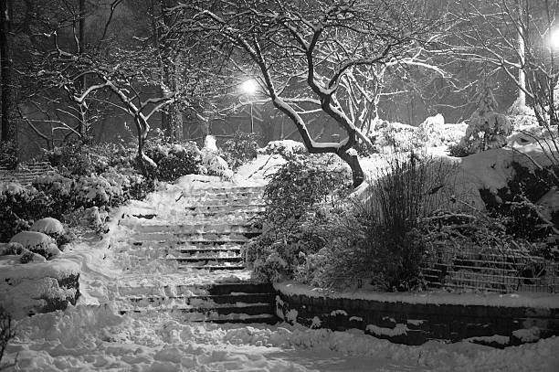 Carl Schurz Park Draped in Snow