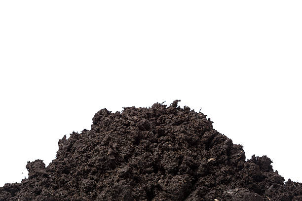istock Compost dirt for gardening on white background 536249637