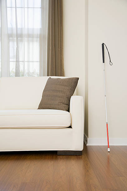istock Walking stick in a living room 536249955