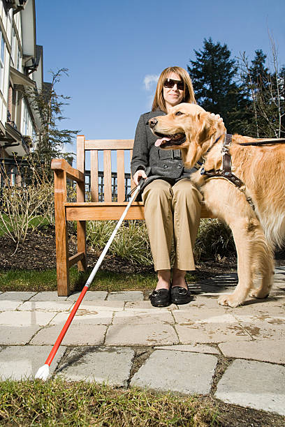 ślepe kobieta z pies przewodnik - golden retriever dog retriever waiting zdjęcia i obrazy z banku zdjęć