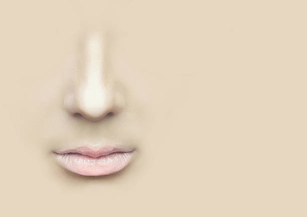 istock Female nose and lips on the physical background. 536250129