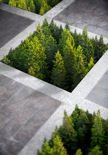 Environmental concept: pine forest growing out of a city concrete.
