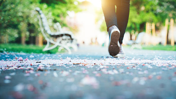 Spring Walk Woman walking along the footpath in the direction of a sun. Close-up of feet in a spring park with cherry petals lying on the ground. City park in Prague. woman walking down path stock pictures, royalty-free photos & images