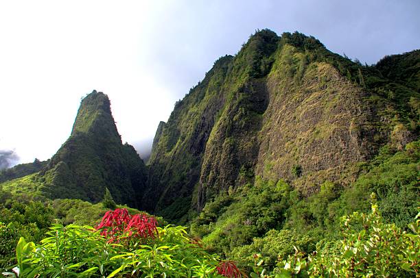 istock Iao Needle Maui Hawaii 536273933