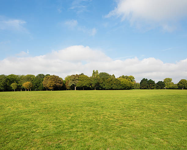 istock Urban park grass lawn area with partly clouded sky background 536274805