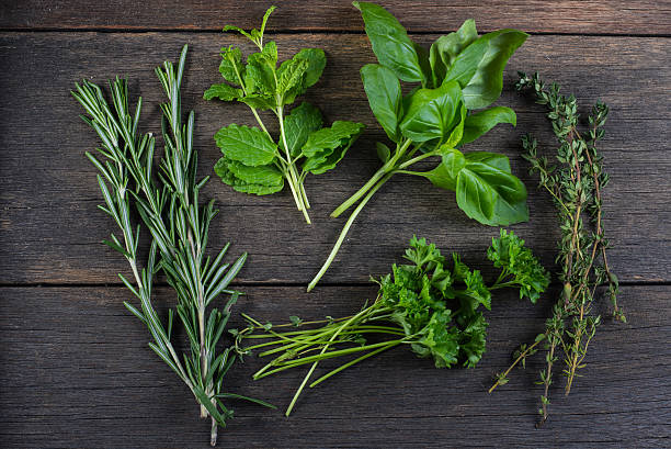 istock Freshly cliped herbs on wooden background 536275793