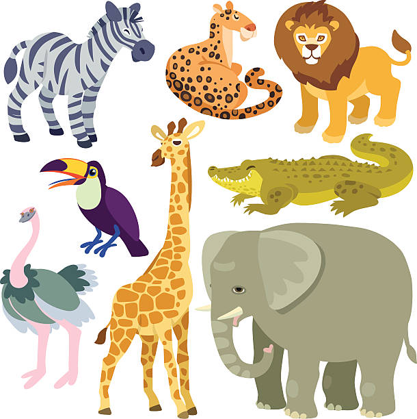 cartoon african animals set Illustration of isolated african animals set on white background kalahari lion stock illustrations
