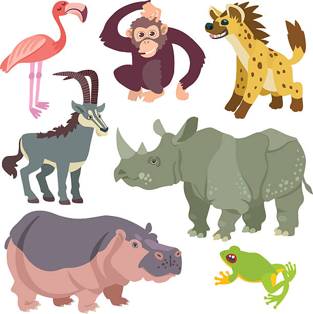 мультяшный африканских животных набор - primacy stock illustrations