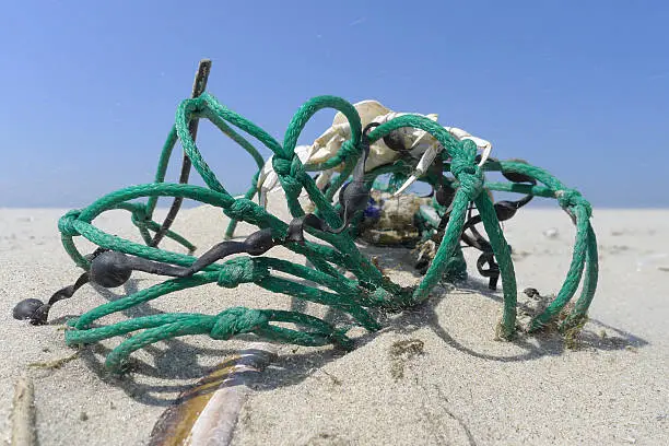 fishingnet with crab on beach