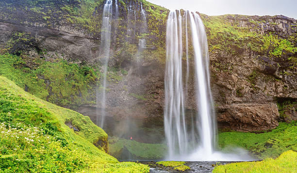 istock Panorama Waterfall Seljalandsfoss, Iceland 536279419