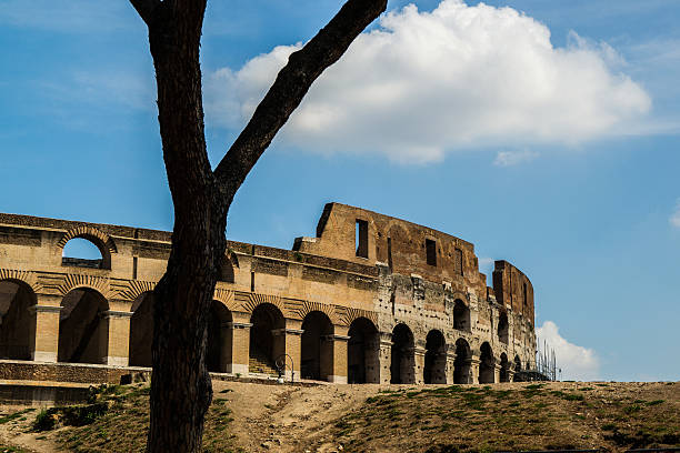 istock Coliseum exterior view in Rome with a tree 536285897