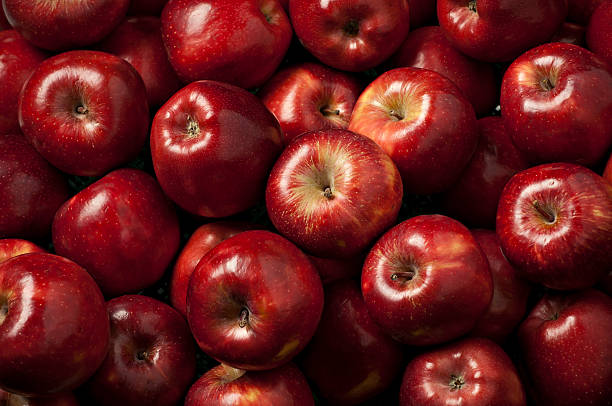 red ripe apples stock photo