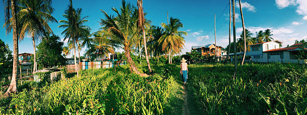 Panoramic picture of Guyana coastal plains stock photo