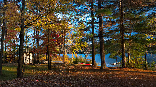istock Late Summer sunset color. 536289505