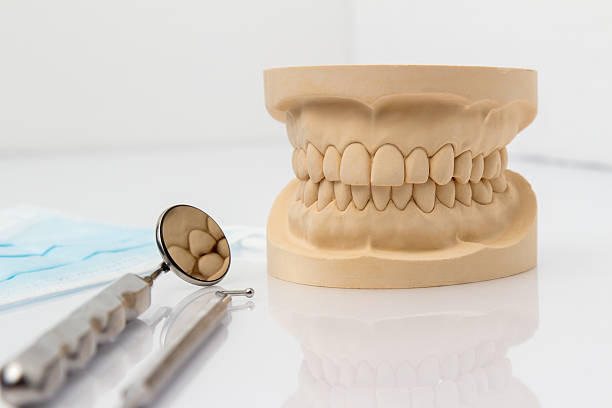 istock Dental mold with tools and a face mask 536291687