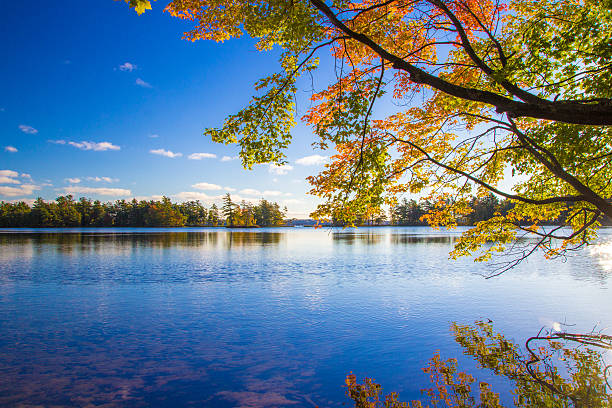 осеннее озеро - beauty in nature blue bush color image стоковые фото и изображения