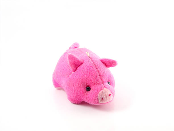 istock cute pink pig doll isolated on white background 536310751