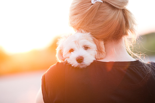 Girl with a young dog enjoying a beautiful day